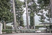 IMG_1316