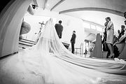 IMG_1446