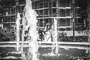 IMG_1531