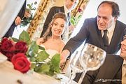 IMG_2229