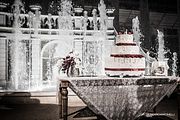 IMG_2545